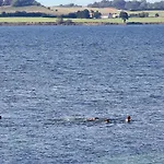 6 Person On A In *